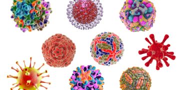 Unlocking Seed Production Excellence: Innovative Management Tools for Virus Control