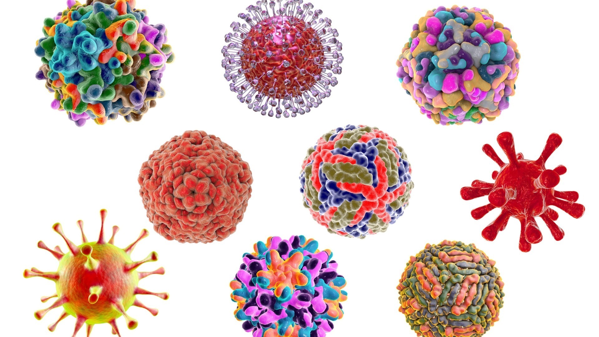 Unlocking Seed Production Excellence: Innovative Management Tools for Virus Control
