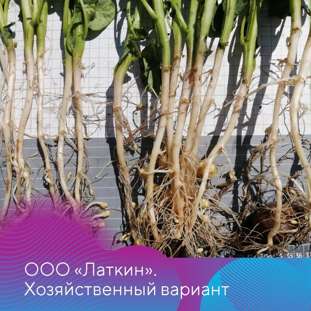 photo 2024 04 11 11 30 15 3