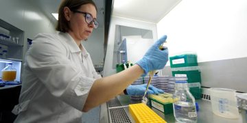 Ensuring Quality and Safety: The Importance of Seed Potato Analysis and Soil Evaluation