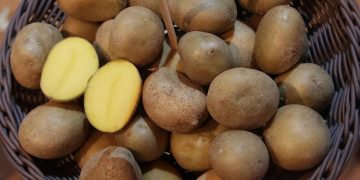 Rising Tides: Challenges Facing Potato Farmers Amid Sogflation