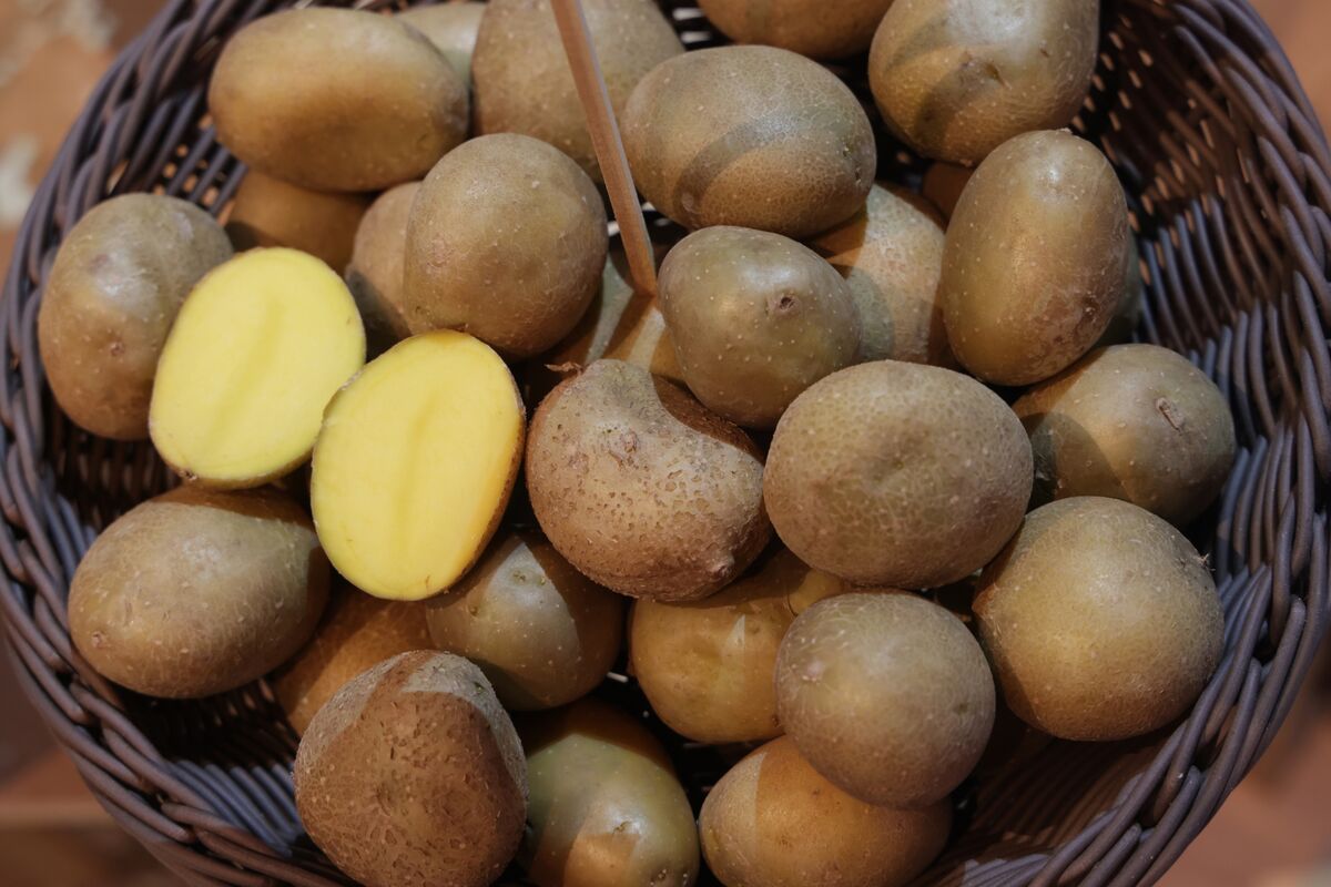 Marées montantes&nbsp;: les défis auxquels sont confrontés les producteurs de pommes de terre dans un contexte de sogflation