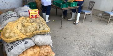 Exploring New Potato Varieties: Innovating for Tomorrow’s Mash Recipes