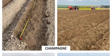 Insights from Recent Farm Visits