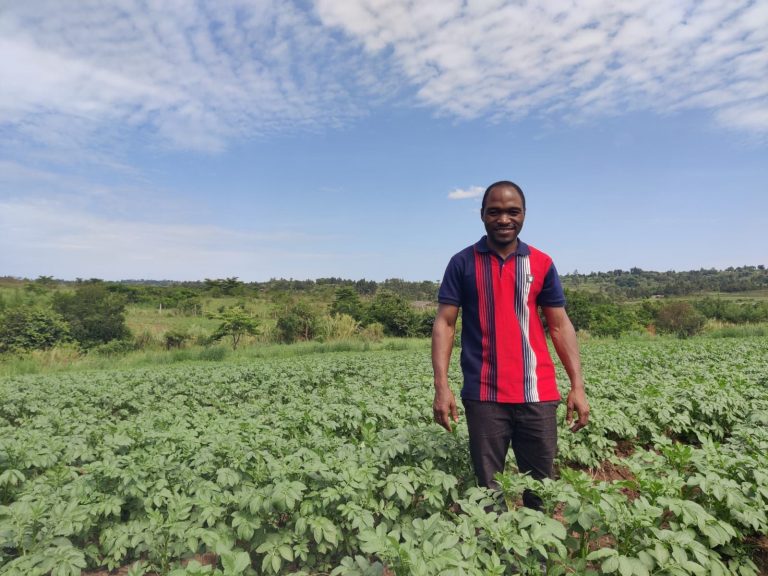 Seed Potato Production with Regenerative Solutions