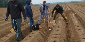 Maximizing Potato Yield: Insights from Comptoir du Plant’s Agronomic Trials