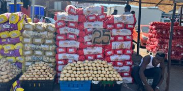 Understanding Our Potato Consumers: Insights from the Heart of South Africa