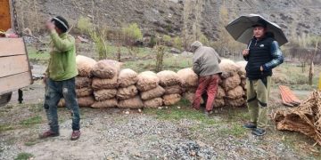 Scaling New Heights: Potato Farming in Lahaul Valley