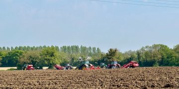 Navigating Potato Planting Season: Insights from Keogh’s Farm