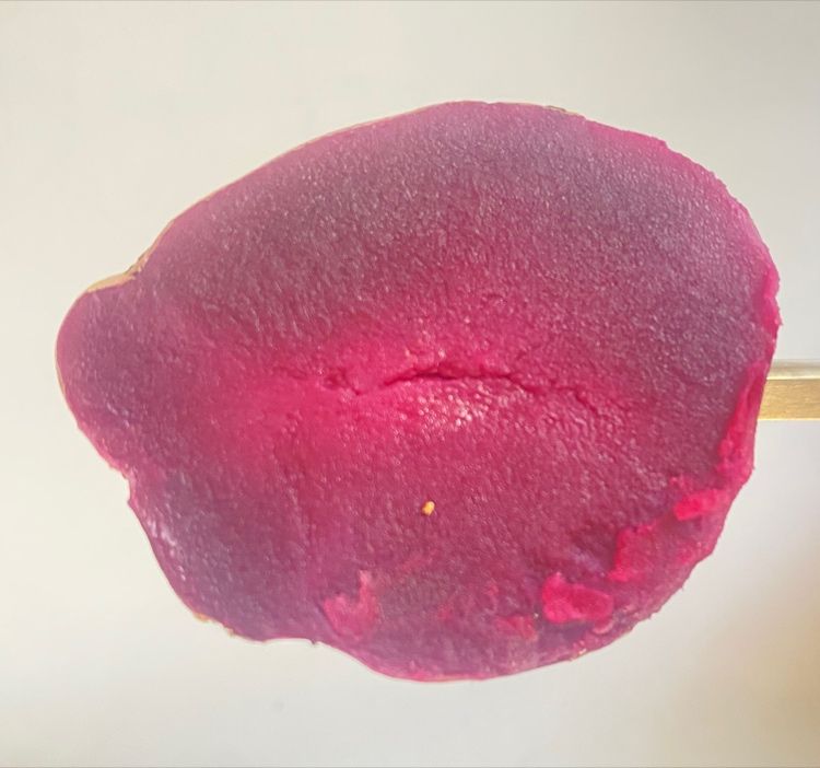 Descubriendo las variedades de papa de próxima generación: Innovando en sabor, calidad y rendimiento 4 Presentación de variedades de papa de próxima generación: sabor, calidad y rendimiento innovadores