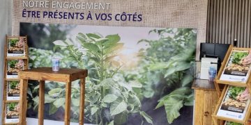 Advancing Potato Farming: Innovations and Biodiversity from Desmazières