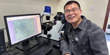 Breakthrough in Potato Protoplast Division: A Significant Step for CIP-China’s Research Goals