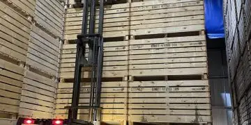 Bennett Potatoes Enhances Storage Capacity Ahead of New Season