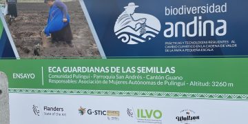 Addressing Climate Challenges: Insights from Ecuador and Peru