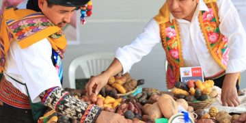 Celebrating International Potato Day: Fostering Diversity and Economic Growth