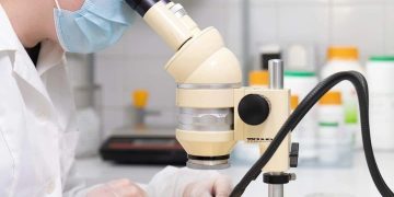 Celebrating International Potato Day: A Spotlight on SPK’s Quality Seed Potatoes