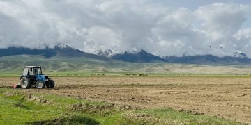 Promising Potato Varieties Take Root in Kyrgyzstan