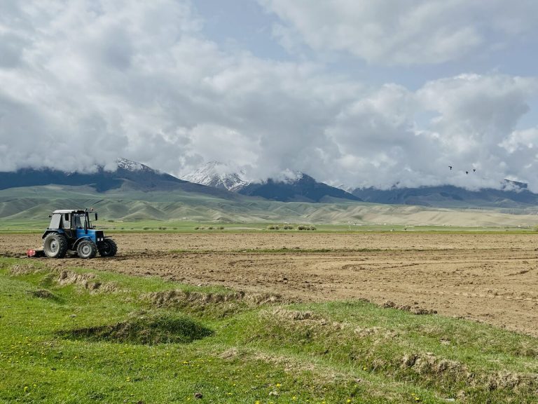 Slibné odrůdy brambor se v Kyrgyzstánu uchytily 20 Slibné odrůdy brambor se v Kyrgyzstánu prosazují