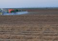 Potatoes and herbicide