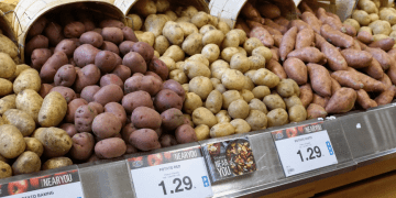 UK potato prices soar amid tight supplies and delayed growing season