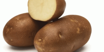 Changing landscapes: a new generation of high-performance potato varieties for American growers