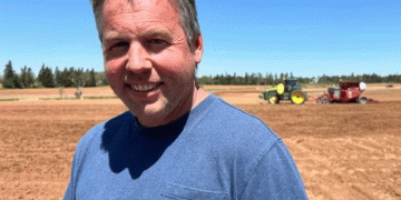 Canadian farmers combat dry spring with new strategies