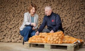 Cultivating Tomorrow’s Fries: Embracing Sustainable Agriculture for a Greener Future