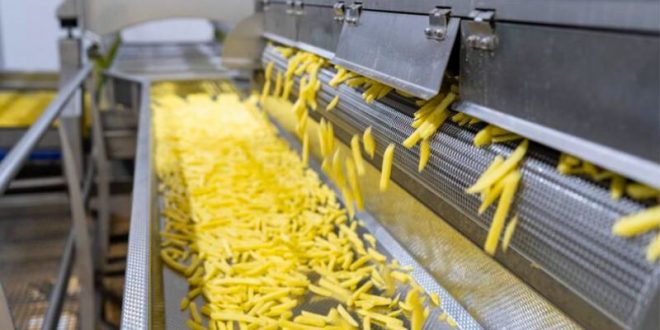 Al Jouf Agricultural Development Company: Innovating the Future of Potato Chips in Saudi Arabia 13 Al Jouf Agricultural Development Company: Innovating the Future of Potato Chips in Saudi Arabia