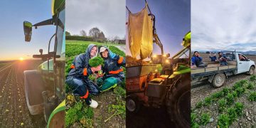 Cultivating Success: The Story of Appleby Fresh