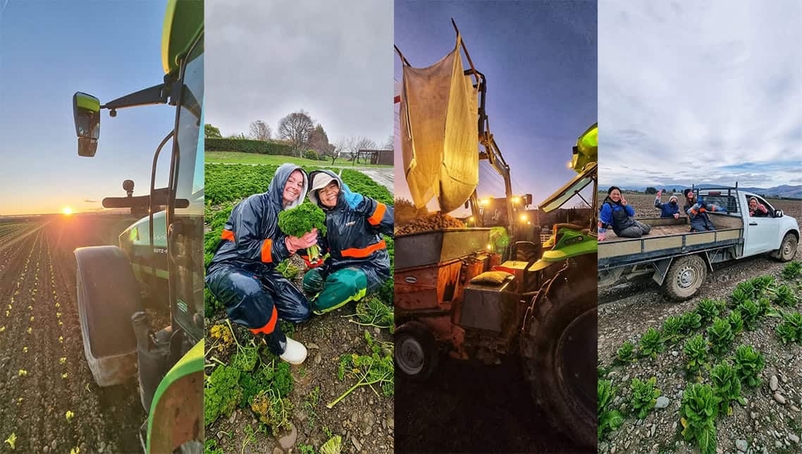 Cultivating Success: The Story of Appleby Fresh