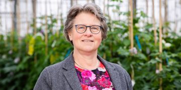 Embracing Innovation: The Call for Swift Adoption of New Potato Varieties