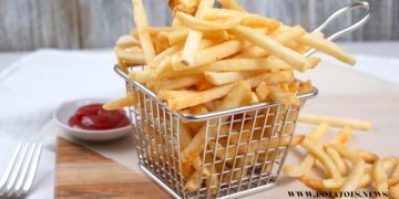 We Fry’s Remarkable Growth in 2023