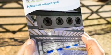 Enhancing Potato Cultivation: Insights for Farmers, Agronomists, and Industry Professionals