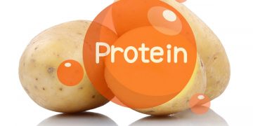 Unlocking the Potential of Potato Protein: Innovations in Agriculture and Nutrition