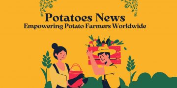 Potatoes News App Upgrade: Empowering Potato Farmers Worldwide