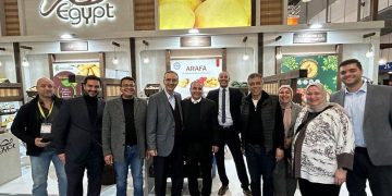 The triumph of Egypt’s potato exports amid the global crisis.