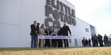 The Little Potato Company: Cultivating Success with Innovation and Sustainability