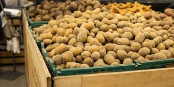 Serious Potato Problem: Understanding Rising Prices in Bangladesh