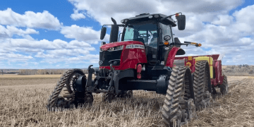Embracing Regenerative Practices: Sustainable Potato Planting Techniques