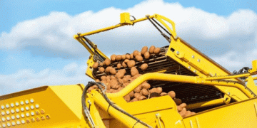 U.S. Potato Consumption Hits 19 Million Tons Mark as Stocks Rise