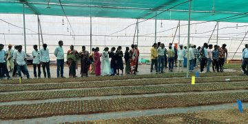 Empowering Potato Cultivation: CIP-Odisha Commemorates International Potato Day