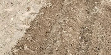 High Altitude Potato Farming in Lahaul Valley: Traditional Techniques Meet Modern Success