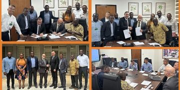 ETG and IITA Forge Strategic Alliance to Advance Maize and Soybean Breeding