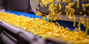 Farm Frites Poland SA Expands Production Capacity with New Advanced Line