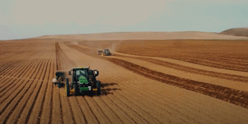 14th World Potato Congress 2028: Ghent, Belgium – a hub for potato innovation and collaboration