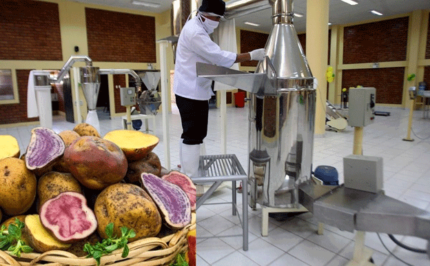 Overproduction Challenges in Peru's Potato Industry: Seeking Sustainable Solutions 13 Overproduction Challenges in Peru’s Potato Industry: Seeking Sustainable Solutions