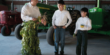 Wada Farms Exceeds ROI in First Year with Optical Sorting Technology