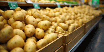 Falling Potato Prices in Brazil: A Boon for Consumers Amid Favorable Harvest Conditions