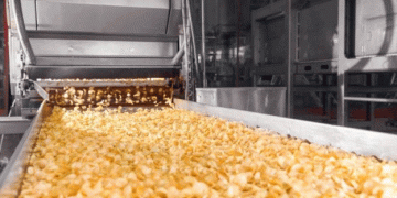 Transforming the Future: Growth and Innovation in the Global Food Processing Equipment Market