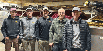 Ensuring Superior Potato Quality and Consistency: The Ellips-Elisam Solution